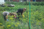 «Данко продолжает оказывать помощь