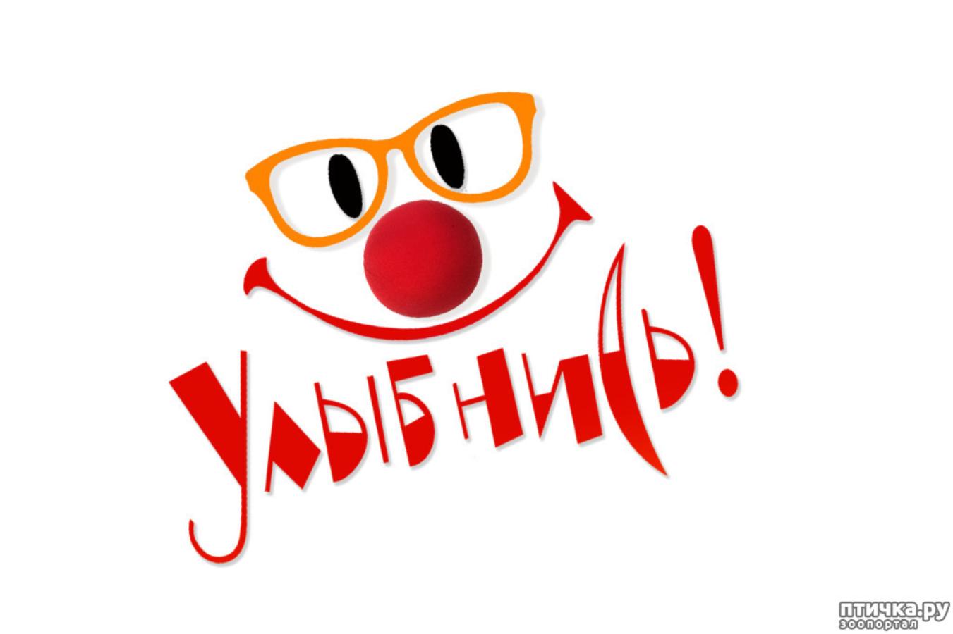С Днем Смеха!