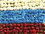 Поздравляем с Днем Государственного флага Российской Федерации!